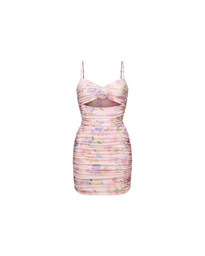 Nicole mini, mini dress in pink mesh with a floral print and rose