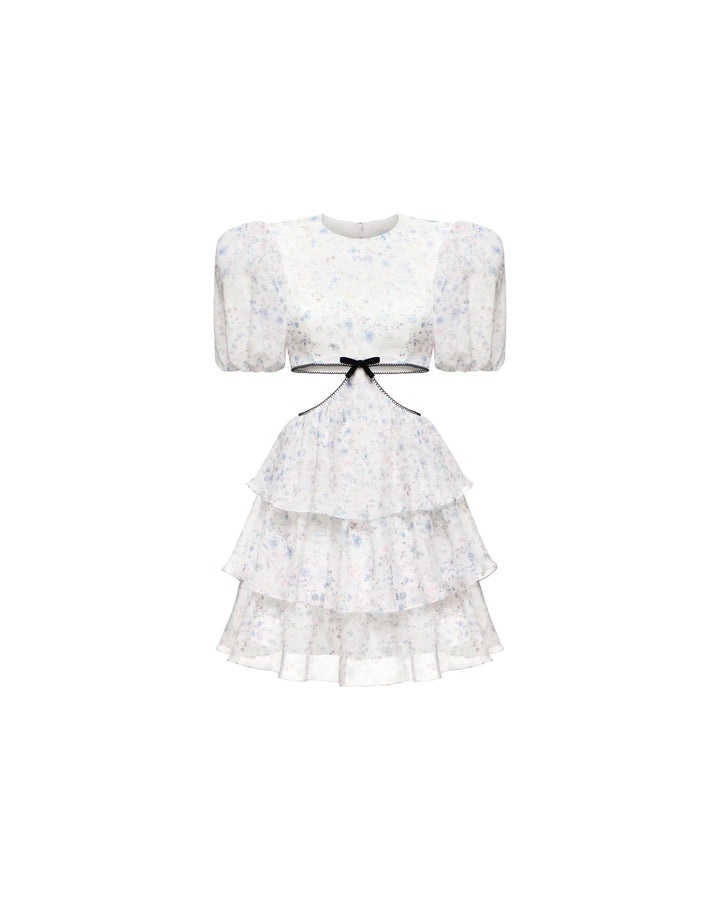 Kylie mini, milky chiffon mini dress with a floral print