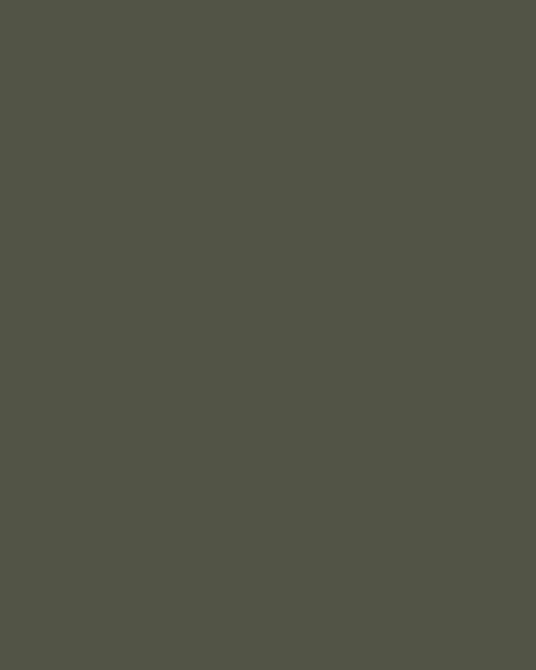 Madi, khaki biflex bodysuit turtleneck