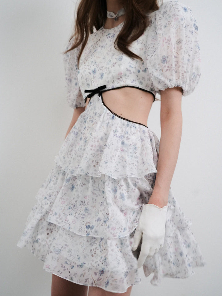 Kylie mini, milky chiffon mini dress with a floral print