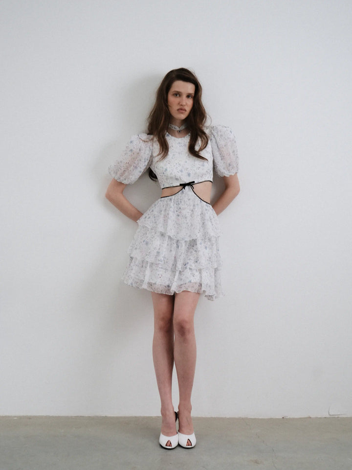 Kylie mini, milky chiffon mini dress with a floral print